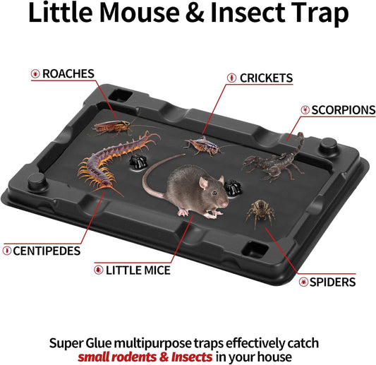 LULUCATCH Mouse & Insect Traps 12 Pack, Heavier Sticky Traps with Non-Toxic Glue for Small Mice & Insects. Sticky Mouse Traps Indoor, Easy to