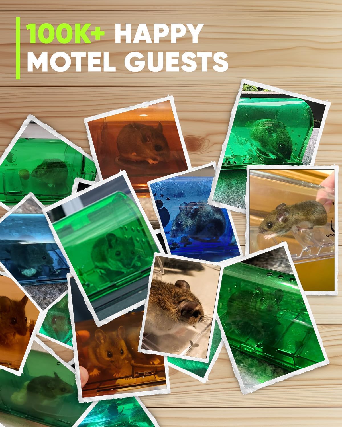 Motel Mouse Humane Mouse Traps No Kill Live Catch and Release 4 Pack - Reusable, Easy to Use & Clean, No Touch