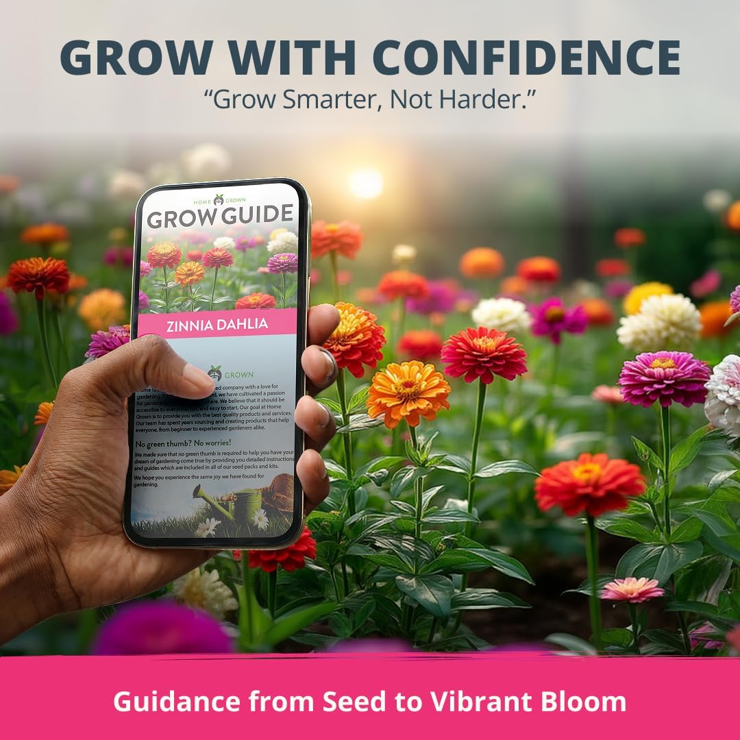 HOME GROWN Zinnia Dahlia Seeds Pack for 2026 Non GMO 524 Flower Seeds, Vibrant Zinnia Elegans for Pollinator Gardens, Borders &