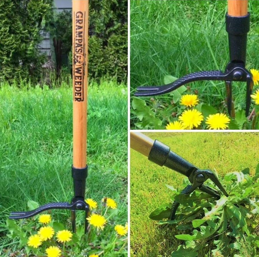 Grampa's Weeder - The Original Stand Up Weed Puller Tool with Long Handle - Made with Real Bamboo & 4-Claw Steel Head Design - Easily Remove Weeds