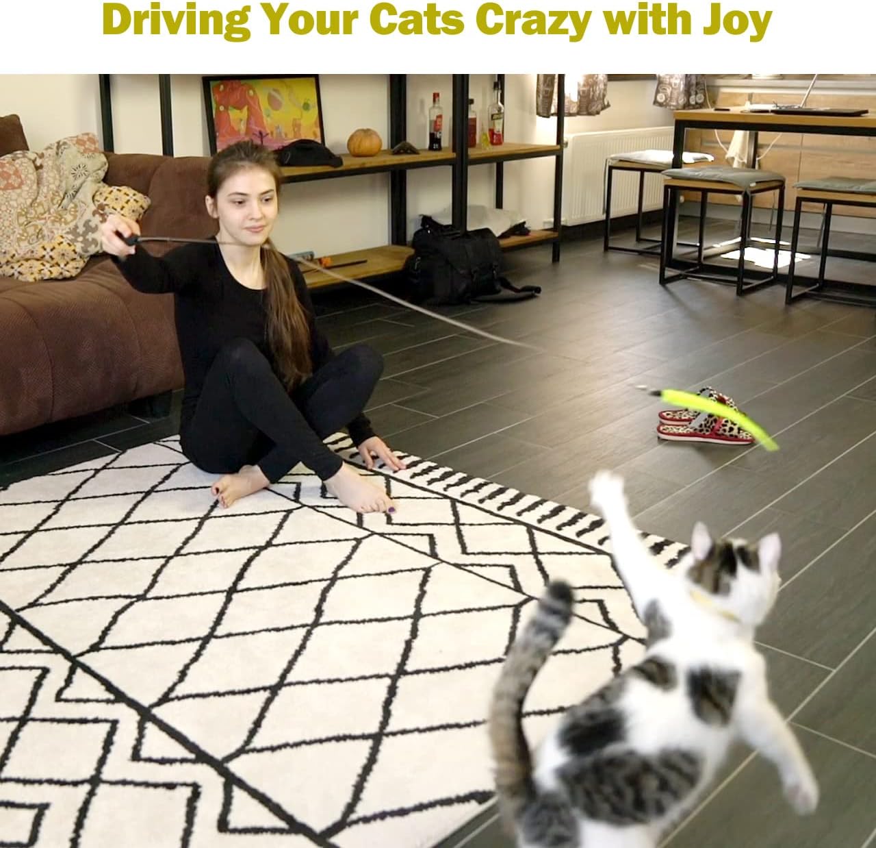 MeoHui Cat Toys for Indoor Cats, Interactive Cat Toy 2PCS Retractable Wand Toy and 9PCS Cat Feather Toys