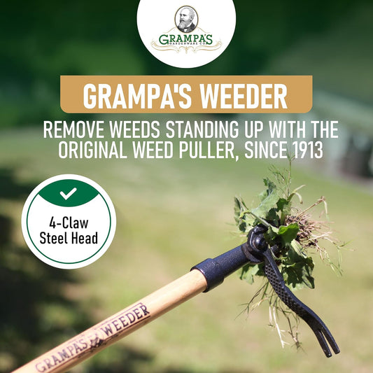 Grampa's Weeder - The Original Stand Up Weed Puller Tool with Long Handle - Made with Real Bamboo & 4-Claw Steel Head Design - Easily Remove Weeds