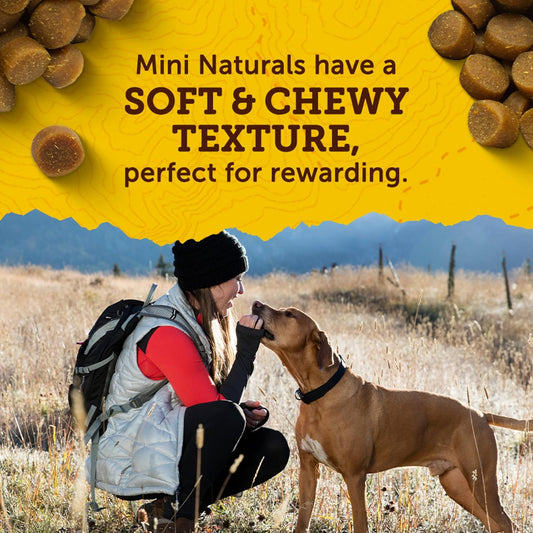 Zukes Mini Naturals Dog Training Treats for Dogs, Pet Treats Made with Real Chicken, 16 oz