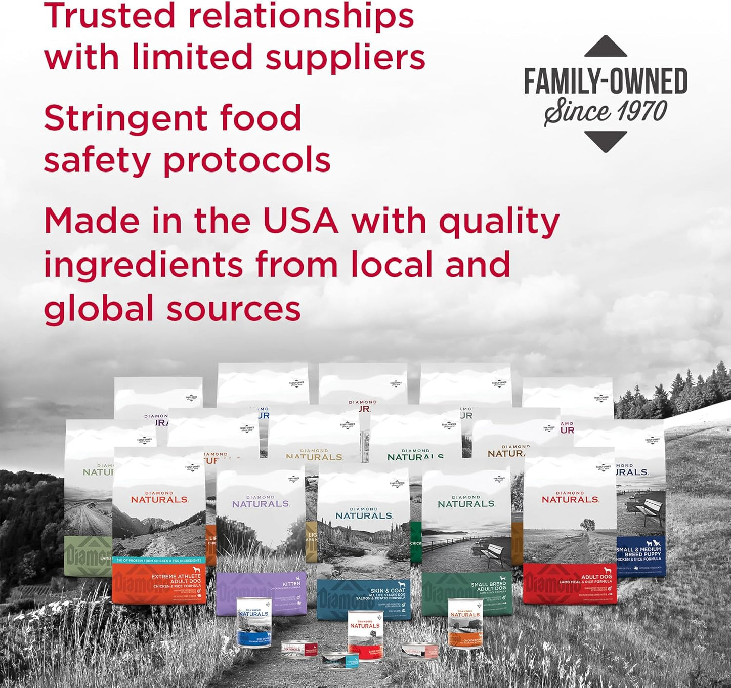 Diamond Naturals Skin & Coat Real Salmon and Potato Recipe Dry Dog Food with Quality Protein, Omega Fatty