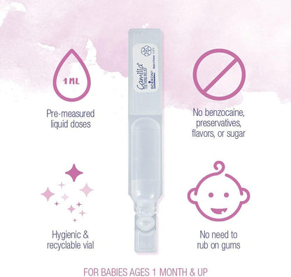 Boiron Camilia Teething Drops for Daytime and Nighttime Relief of Painful or Swollen Gums and Irritability in Babies - 40 Liquid Droppers Bundled in