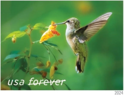 United States Postal Service Garden Delights (Booklet of 20) First-Class Mail Forever Postage Stamps Scott-5848