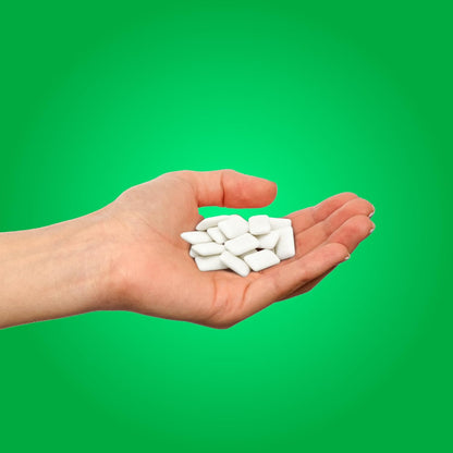 PUR Gum, Aspartame Free Chewing Gum, 100% Xylitol, Natural Spearmint Flavored Gum, 55 Pieces