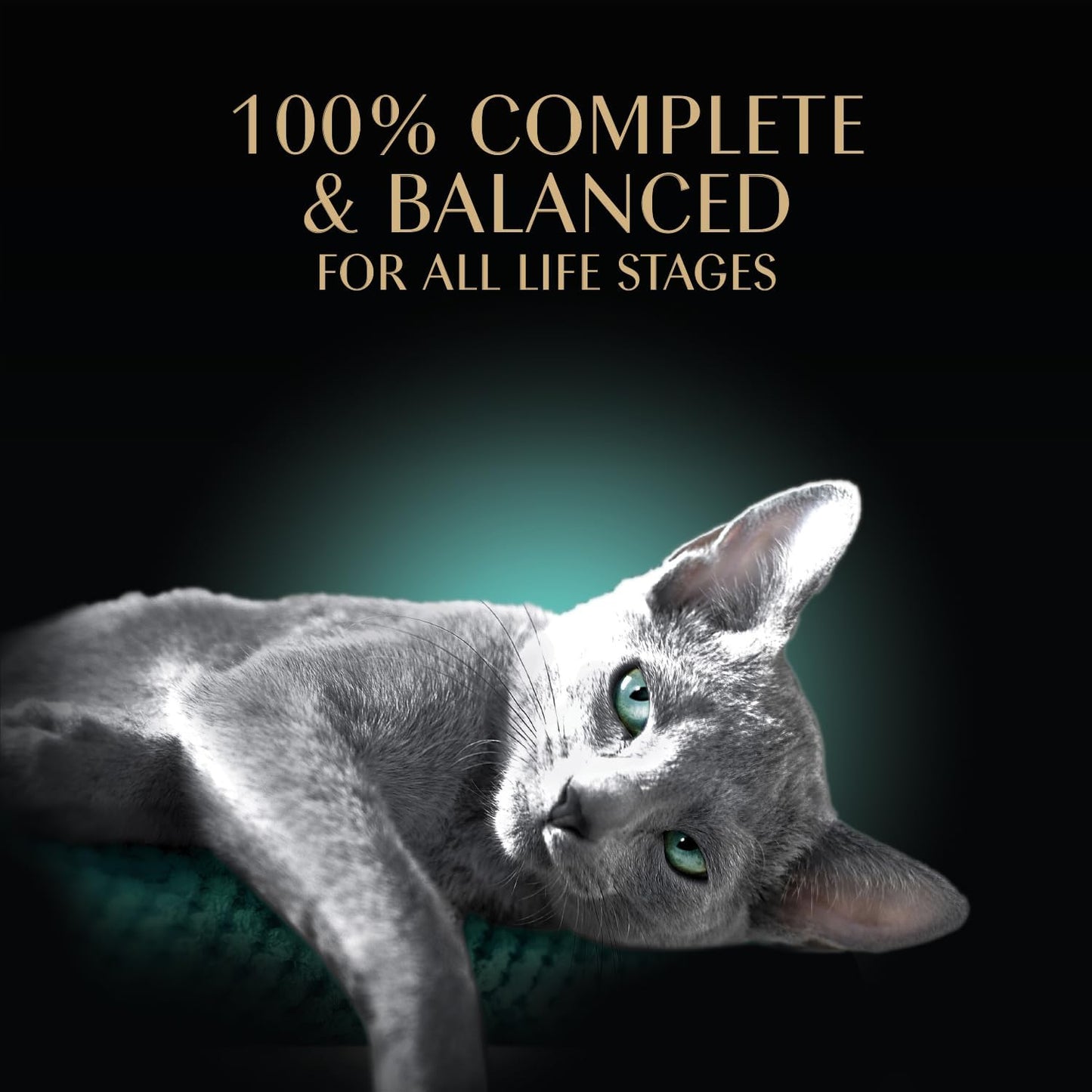 Sheba Perfect Portions Wet Cat Food Cuts in Gravy, Cat Food Wet Recipe, Roasted Chicken Entree, with Sustainable Salmon, Tender Turkey