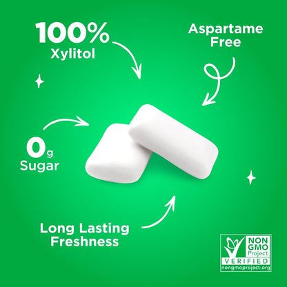 PUR Gum, Aspartame Free Chewing Gum, 100% Xylitol, Natural Spearmint Flavored Gum, 55 Pieces