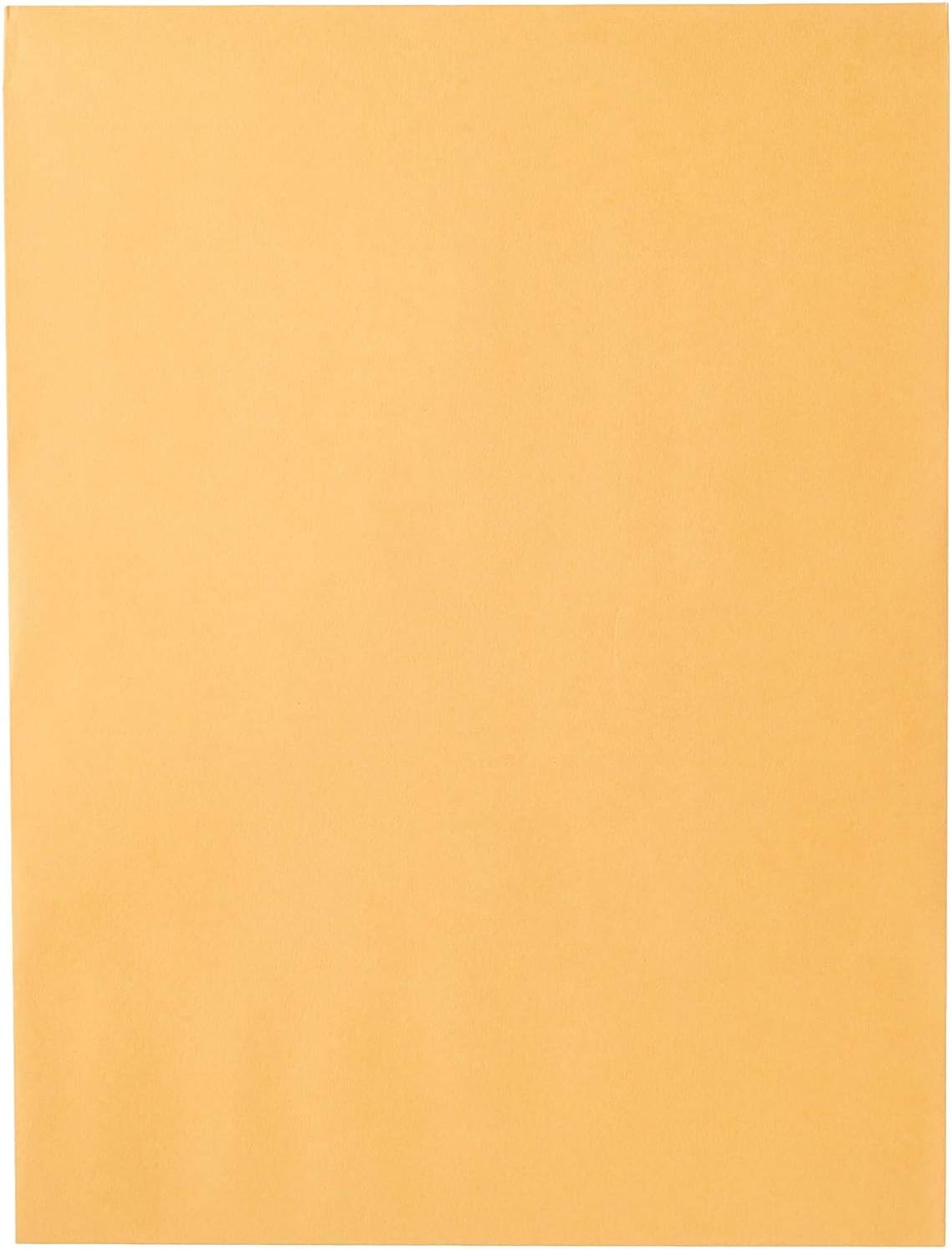Mead Envelopes, 9" x 12", Clasp Closure, Brown Kraft All-Purpose 24-lb Paper Mailing Envelopes, 20 Count