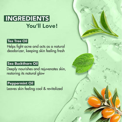 Botanic Hearth Tea Tree Body Wash 16 fl oz (2 Pack) Natural Antifungal & Odor Control Shower Gel for Acne, Athletes Foot, Ringworm, Jock