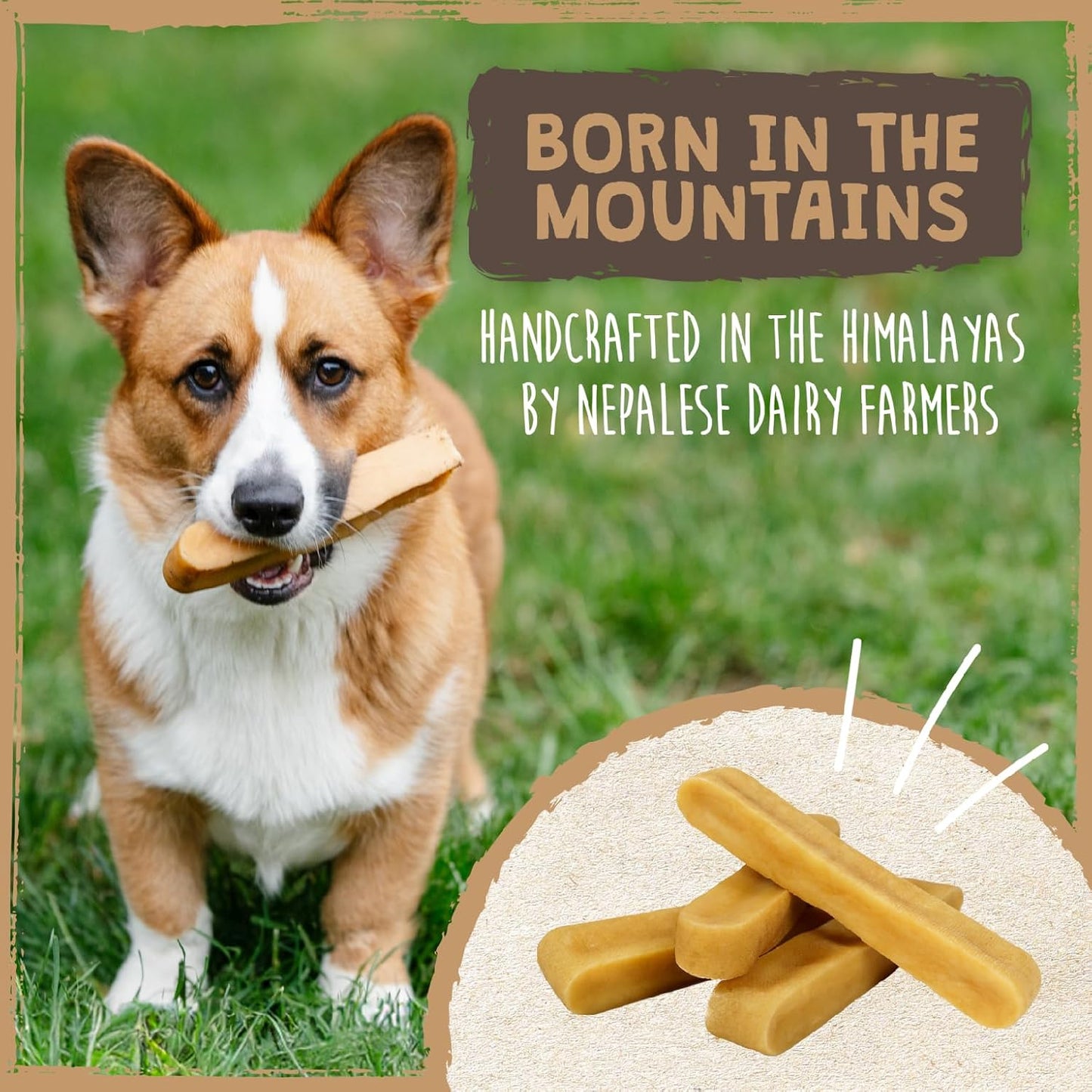 Mighty Paw Yak Cheese Dog Chews All-Natural Long Lasting Hard Chew for Aggressive Chewers High