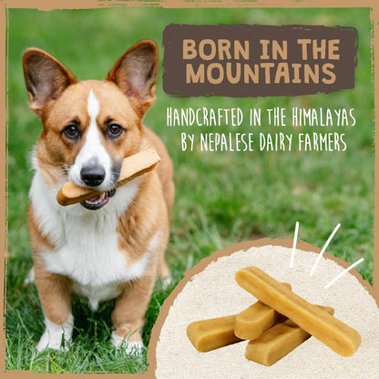 Mighty Paw Yak Cheese Dog Chews All-Natural Long Lasting Hard Chew for Aggressive Chewers High