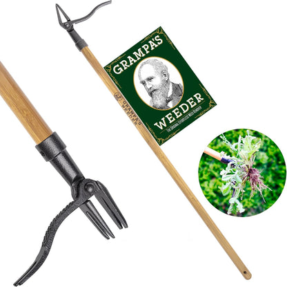Grampa's Weeder - The Original Stand Up Weed Puller Tool with Long Handle - Made with Real Bamboo & 4-Claw Steel Head Design - Easily Remove Weeds