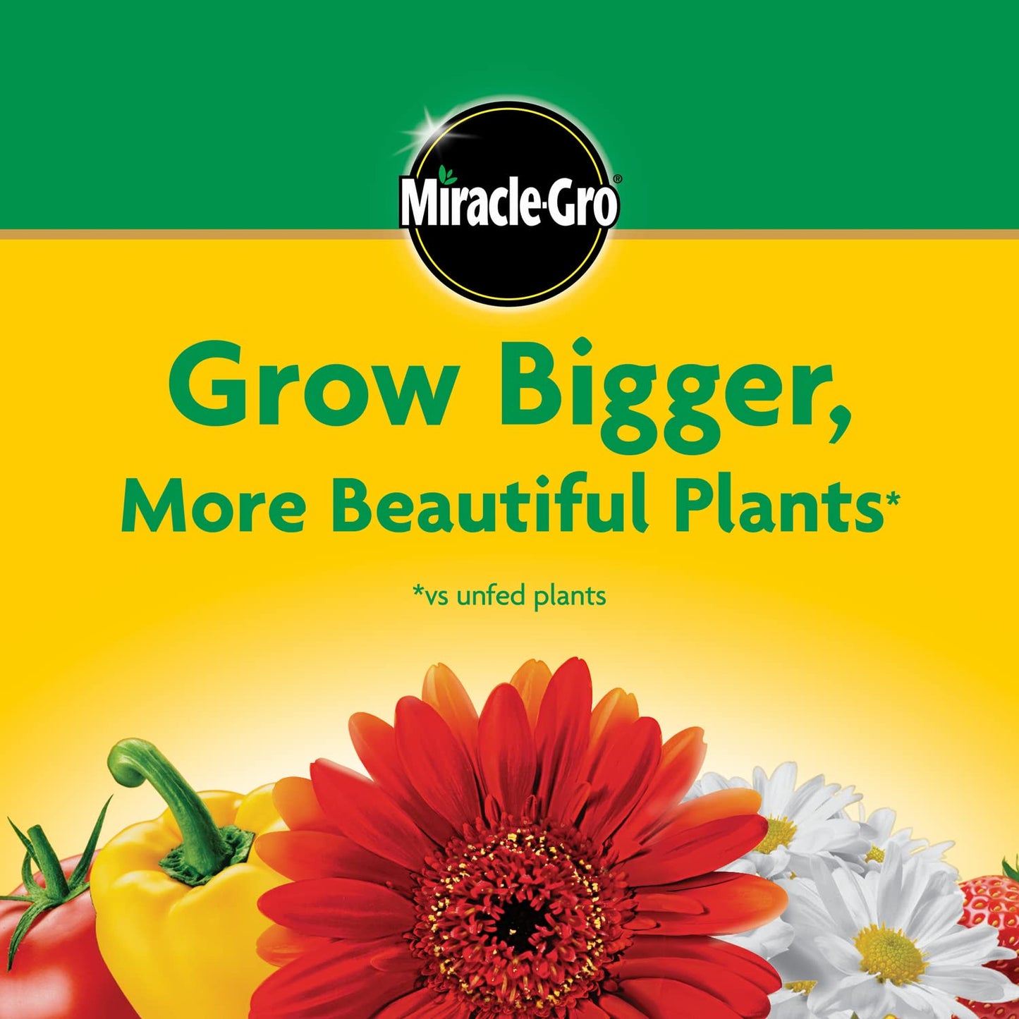 Miracle-Gro Water Soluble All Purpose Plant Food - Fertilizer For All Indoor or Outdoor Plants including Roses, Flowers, Vegetables