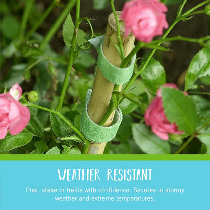 VELCRO Brand VEL-30071-USA ONE-WRAP Garden Ties, Plant Supports for Effective Growing, Strong Grips are Reusable and Adjustable
