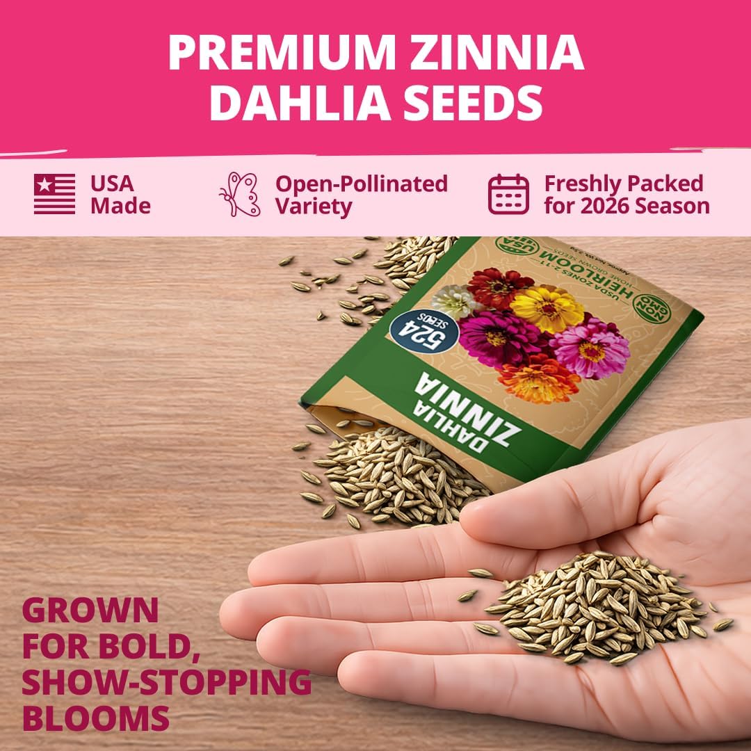 HOME GROWN Zinnia Dahlia Seeds Pack for 2026 Non GMO 524 Flower Seeds, Vibrant Zinnia Elegans for Pollinator Gardens, Borders &
