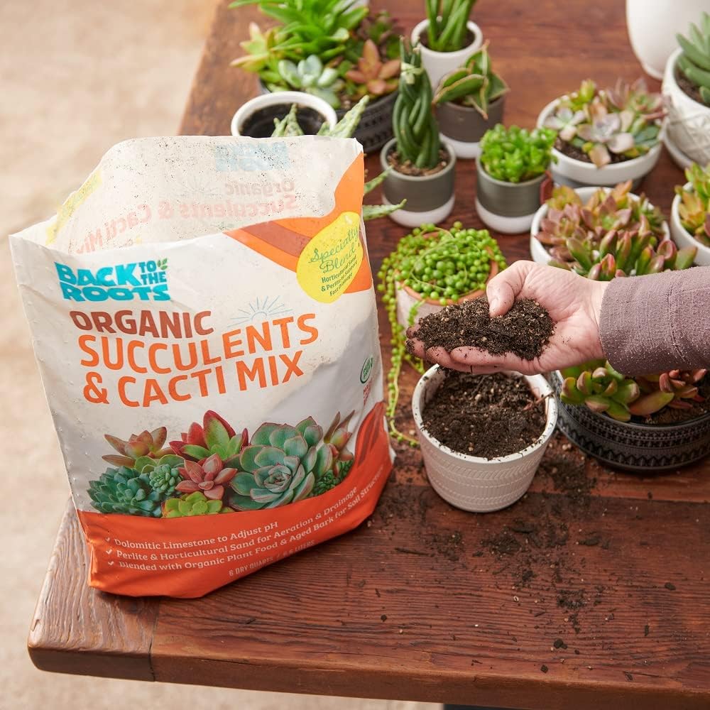 Back to the Roots 100% Organic Succulent & Cacti Mix (6 Quart), Made in the USA, Premium Nutrition for Indoor and Outdoor Plants