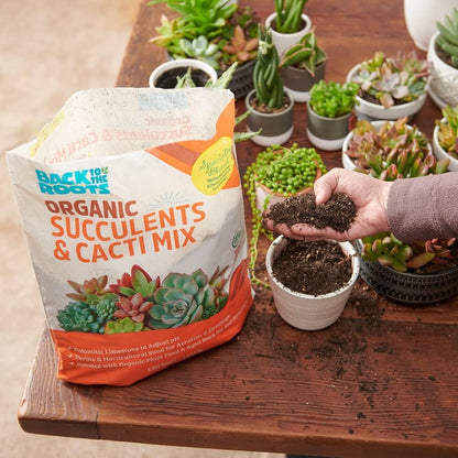 Back to the Roots 100% Organic Succulent & Cacti Mix (6 Quart), Made in the USA, Premium Nutrition for Indoor and Outdoor Plants