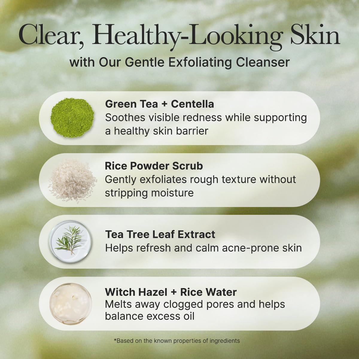 Arencia Korean Rice Mochi Face Cleanser - Face Wash, Gentle Scrub All in One for Deep Cleansing, Moisturizing, Pore Minimizing, Acne-Prone