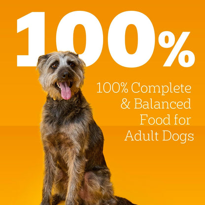 Pedigree Wet Dog Food, Choice Cuts Adult Canned Dog Food, Beef & Country Stew Multipack, 13.2 oz. Cans (12 Count)