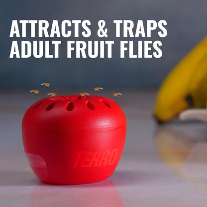TERRO Fruit Fly Traps for Indoors (4 Pack) + 180 Days of Lure Supply - T2503SR - Lure and Kill Indoor Fruit Flies Near Fruit, Trash