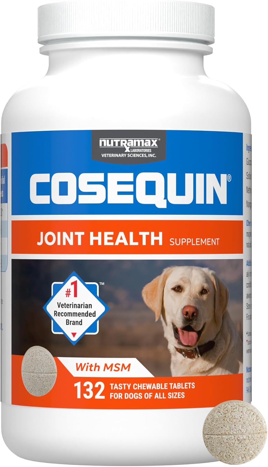 Nutramax Cosequin for Dogs Joint Health Supplement, Contains Glucosamine for Dogs, Plus Chondroitin and MSM, Supports Healthy