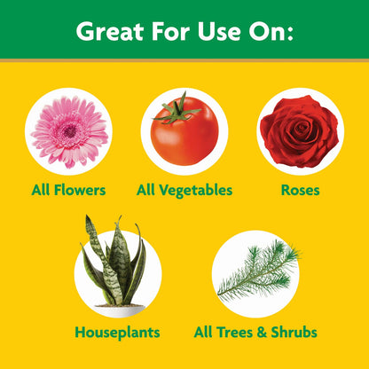 Miracle-Gro Water Soluble All Purpose Plant Food - Fertilizer For All Indoor or Outdoor Plants including Roses, Flowers, Vegetables