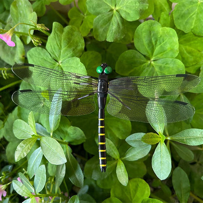 2026 New 40 Pcs Dragon Fly Clips for Bugs Repellent, 3D Artificial Dragonfly Hat Clip, Dragonfly Garden Decor
