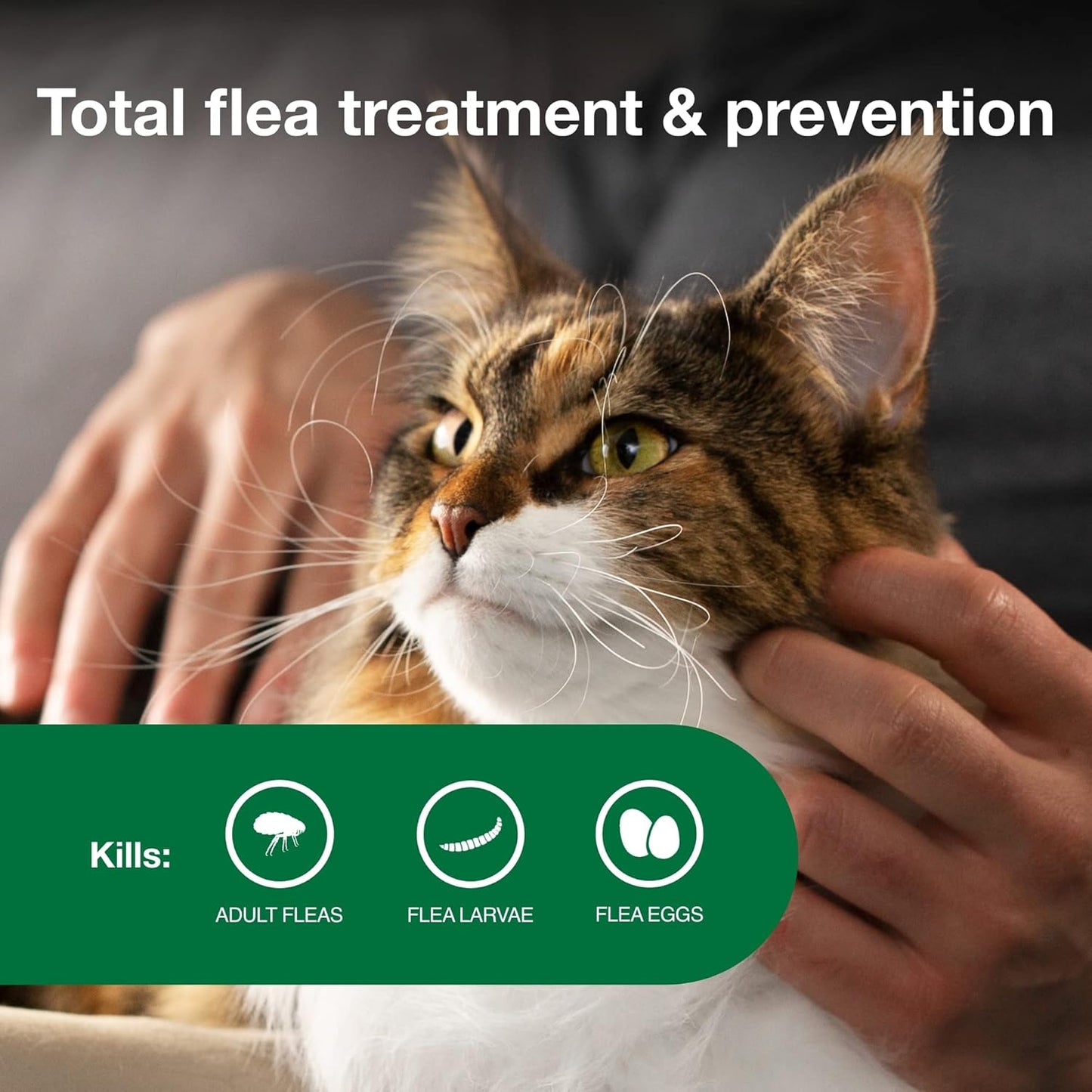 Advantage II Large Cat Vet-Recommended Flea Treatment & Prevention, Cats Over 9 lbs., 2-Month Supply