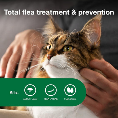 Advantage II Large Cat Vet-Recommended Flea Treatment & Prevention, Cats Over 9 lbs., 2-Month Supply