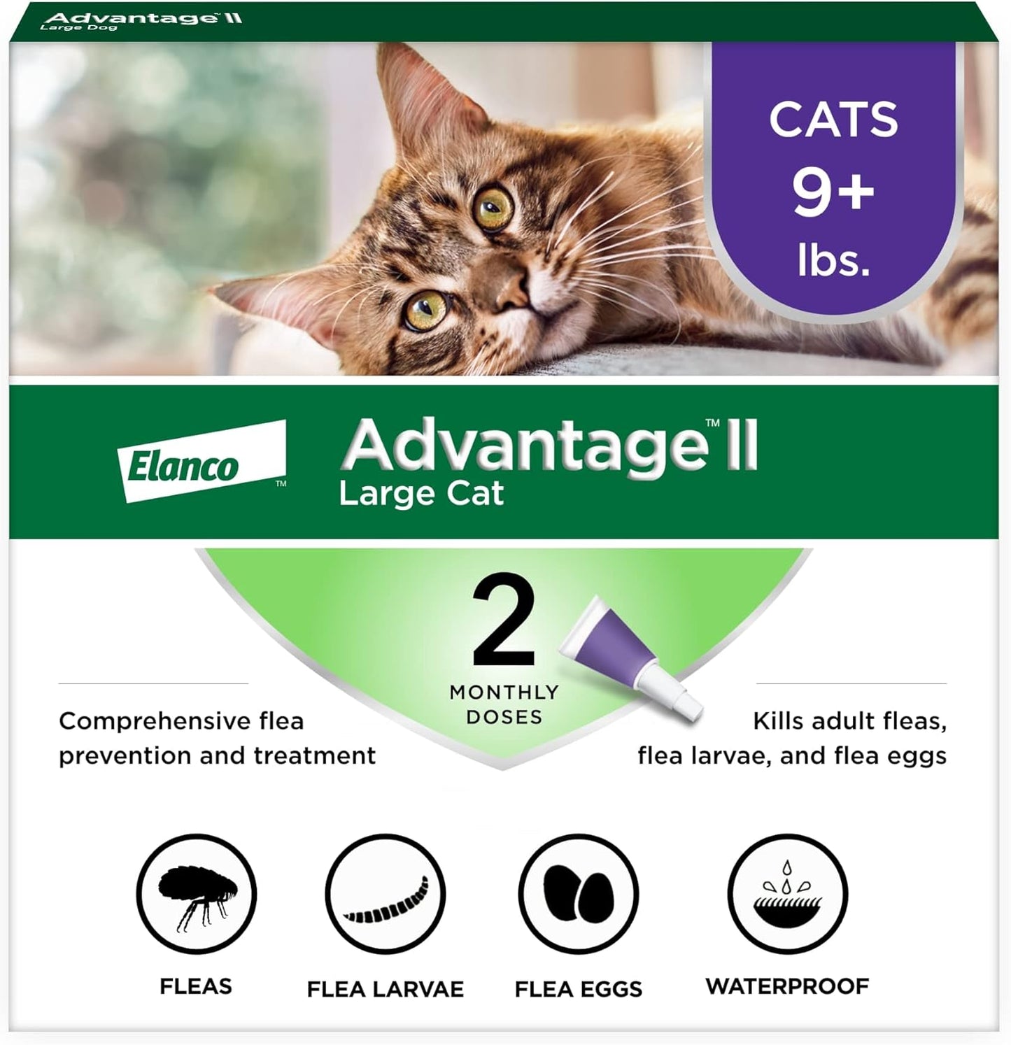 Advantage II Large Cat Vet-Recommended Flea Treatment & Prevention, Cats Over 9 lbs., 2-Month Supply