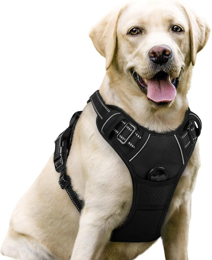 rabbitgoo Dog Harness No Pull with 2 Leash Clips, Adjustable Soft Padded, Reflective Oxford No Choke Pet Vest with Easy Control Handle for Large