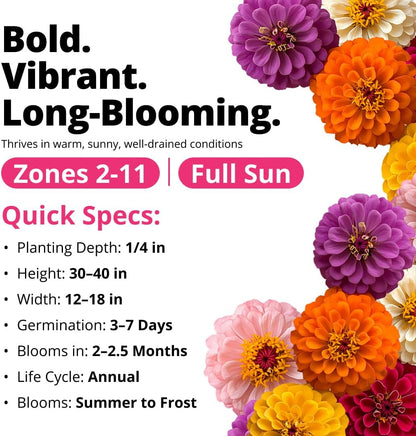 HOME GROWN Zinnia Dahlia Seeds Pack for 2026 Non GMO 524 Flower Seeds, Vibrant Zinnia Elegans for Pollinator Gardens, Borders &