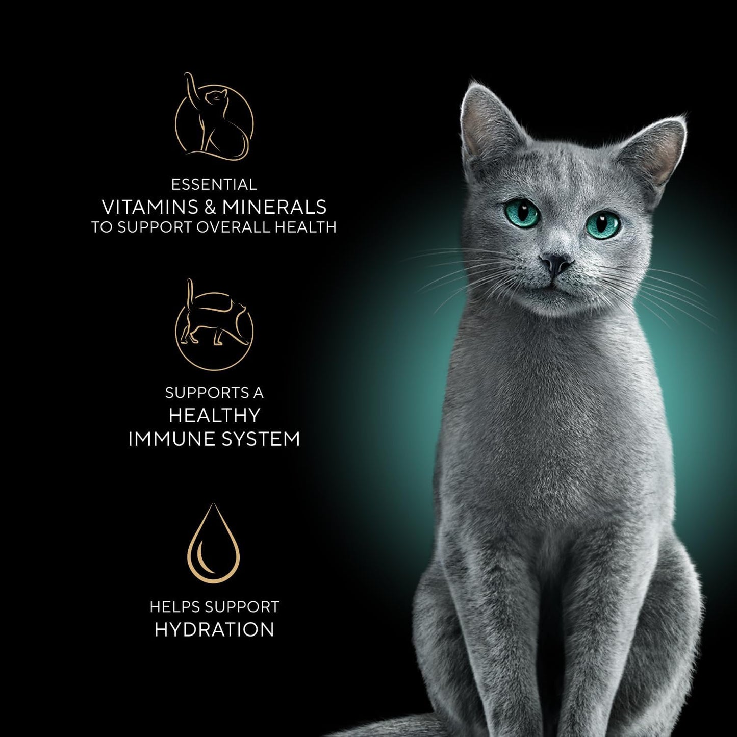 Sheba Perfect Portions Wet Cat Food Cuts in Gravy, Cat Food Wet Recipe, Roasted Chicken Entree, with Sustainable Salmon, Tender Turkey