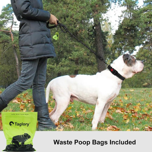 Taglory Rope Dog Leash 6 FT with Comfortable Padded Handle, Highly Reflective Threads Leash and Anti-Tangle Clip for Walking Medium Large