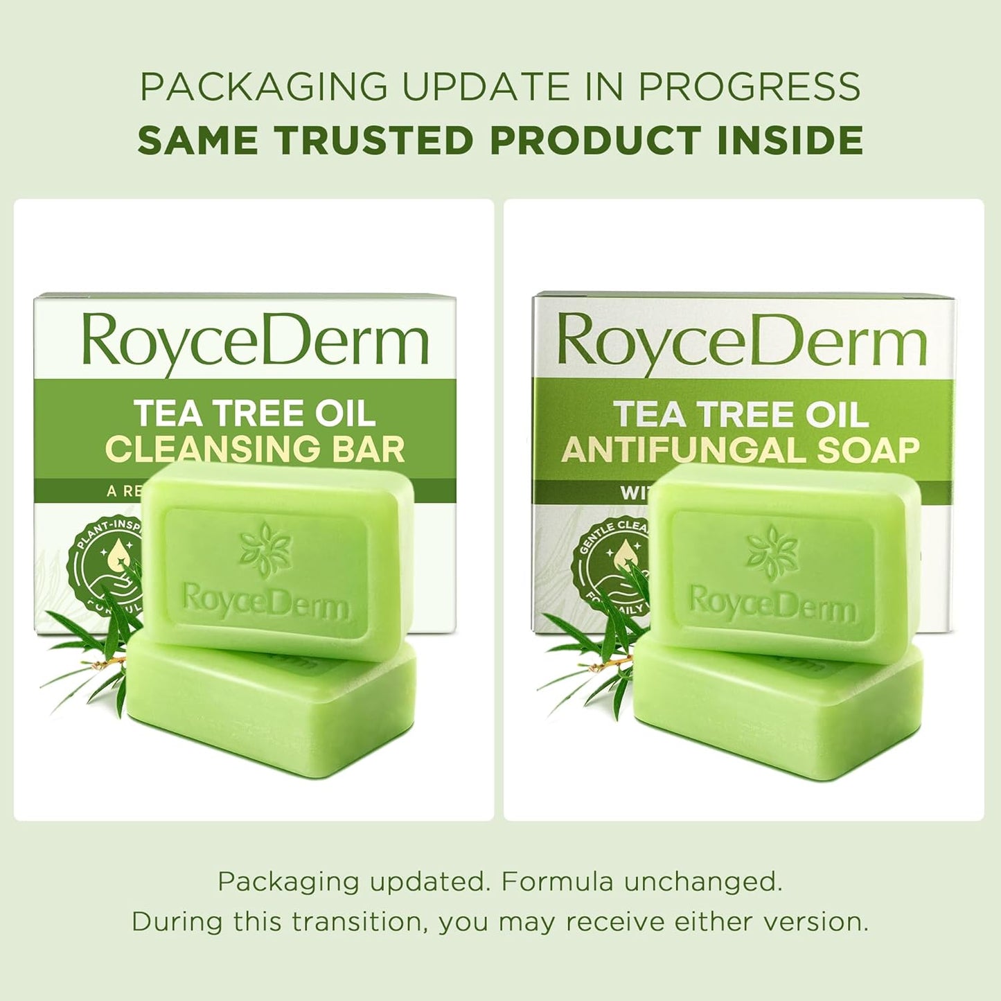 Roycederm Antifungal Bar Soap - Tea tree Oil Soap - Athletes Foot Treatment for Jock Itch & Ringworm - Medicated Antifungal Soap with Clotrimazole 1%