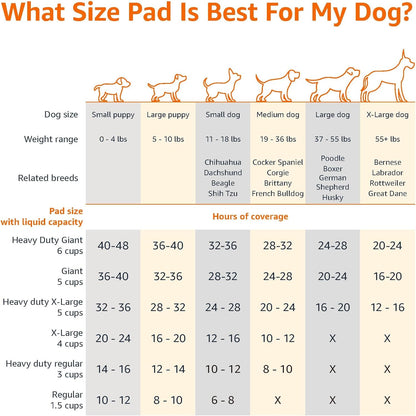 Amazon Basics Leak-Proof Dog and Puppy Potty Training Pee Pads with Quick-Dry 5-Layer Super Absorbent Design, Regular Size 22 x 22 inch, Blue &