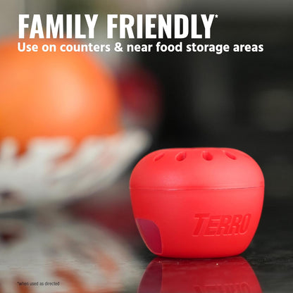 TERRO Fruit Fly Traps for Indoors (4 Pack) + 180 Days of Lure Supply - T2503SR - Lure and Kill Indoor Fruit Flies Near Fruit, Trash