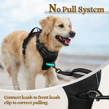 rabbitgoo Dog Harness No Pull with 2 Leash Clips, Adjustable Soft Padded, Reflective Oxford No Choke Pet Vest with Easy Control Handle for Large