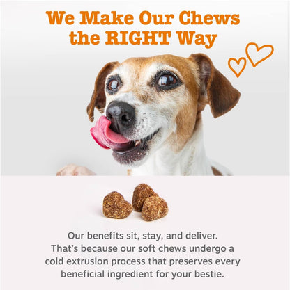Zesty Paws Dog Multivitamin, Chewable Dog Vitamins and Supplements for Hip & Joints, Skin &