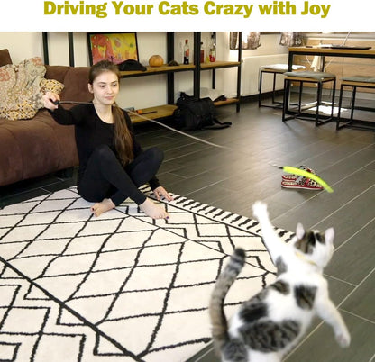 MeoHui Cat Toys for Indoor Cats, Interactive Cat Toy 2PCS Retractable Wand Toy and 9PCS Cat Feather Toys
