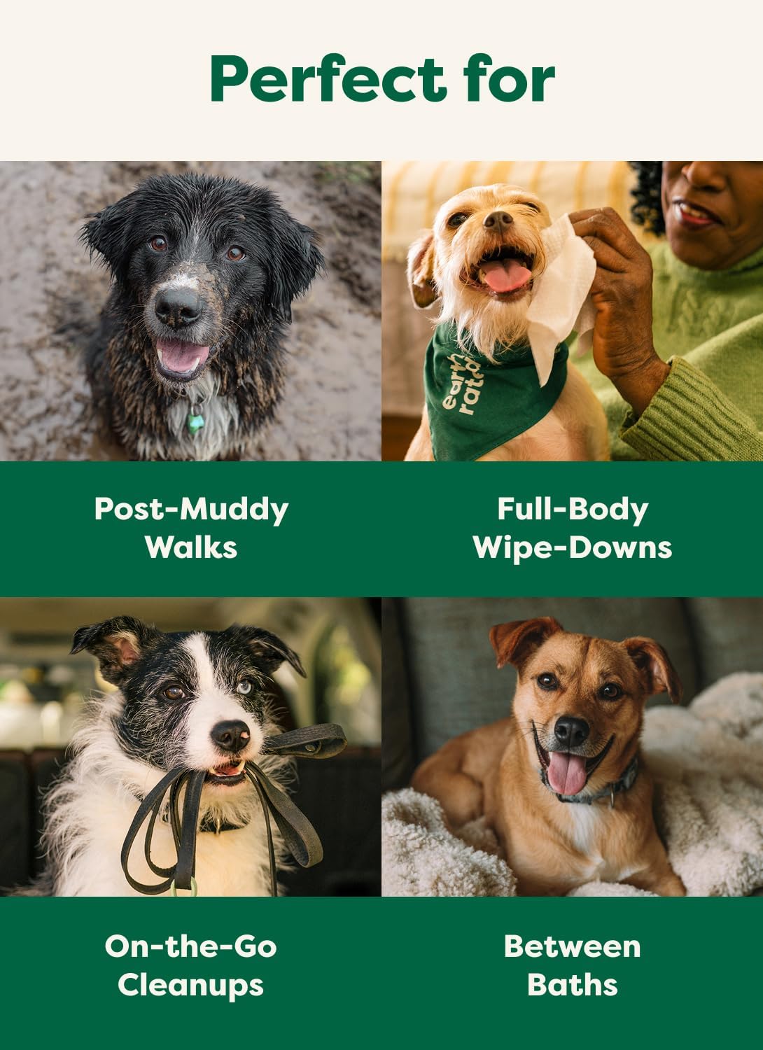 Earth Rated Pet Wipes for Dogs and Cats, Hypoallergenic, 3-in-1 Cleaning, Deodorizing and Hydrating, for Grooming Paws, Body and Butt