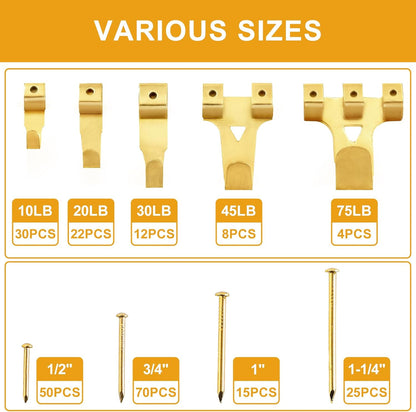KURUI 303Pcs Picture Hanging Kit, Picture Hangers Assorted Kit with Heavy Duty Picture Hanging Hooks/Hardware Nails/Sawtooth/Wire/D