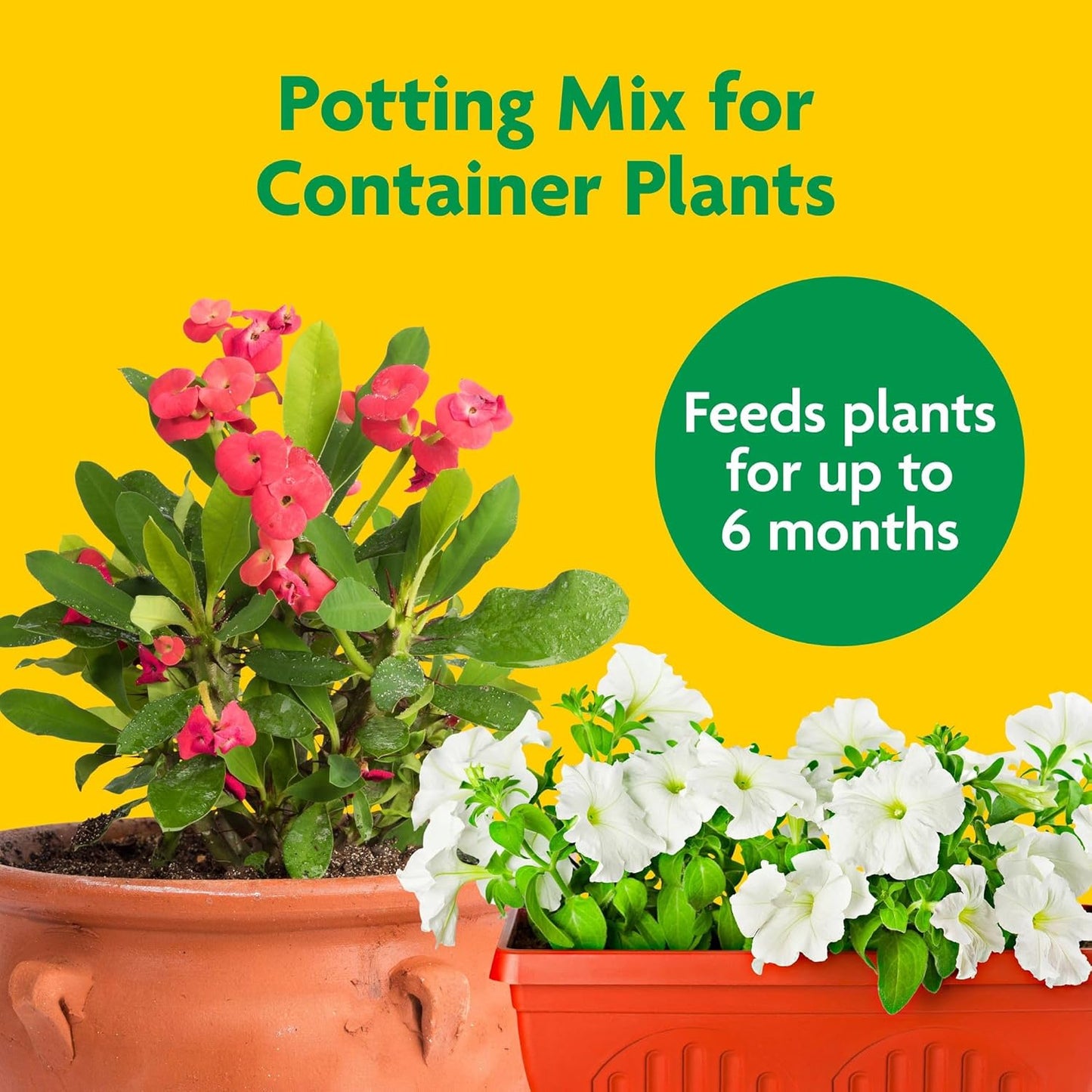 Miracle-Gro Potting Mix - For Container Plants, Flowers, Vegetables, Shrubs, Annuals, Perennials, Potting Soil Mix, Feeds up to 6