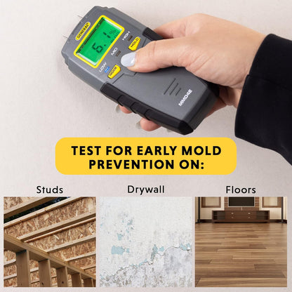 General Tools MMD4E Digital Moisture Meter, Water Leak Detector, Moisture Tester, Pin