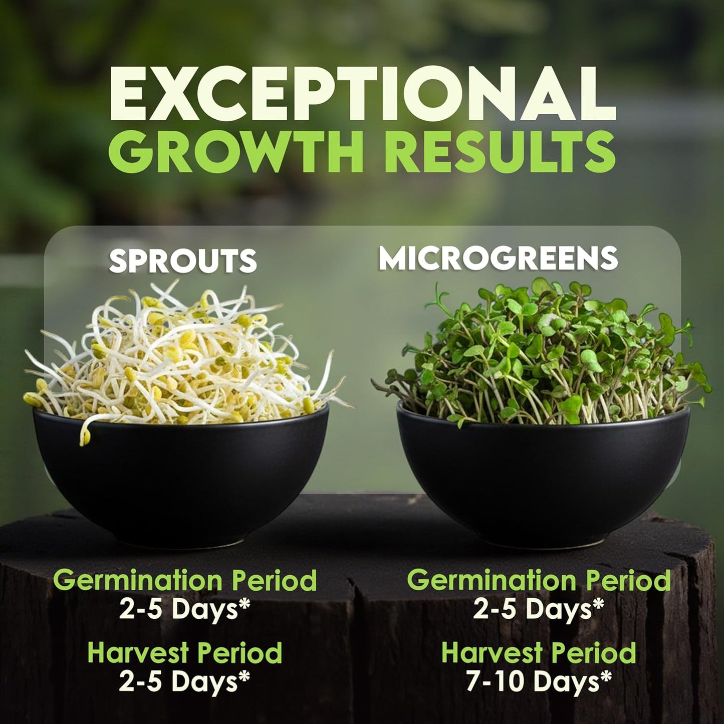 Nature Jims Sprouts Organic Salad Mix Non-GMO Microgreen Seeds, Perfect for Growing Nutritious Organic Broccoli