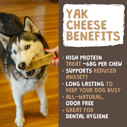 Mighty Paw Yak Cheese Dog Chews All-Natural Long Lasting Hard Chew for Aggressive Chewers High