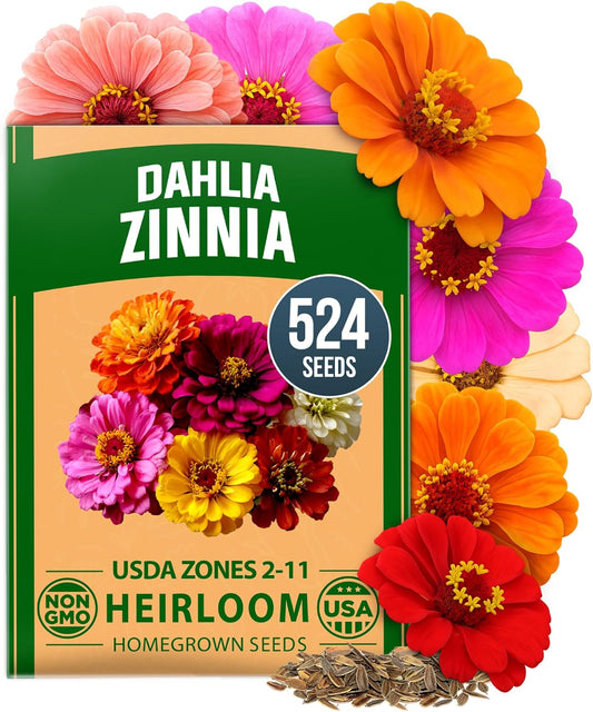 HOME GROWN Zinnia Dahlia Seeds Pack for 2026 Non GMO 524 Flower Seeds, Vibrant Zinnia Elegans for Pollinator Gardens, Borders &