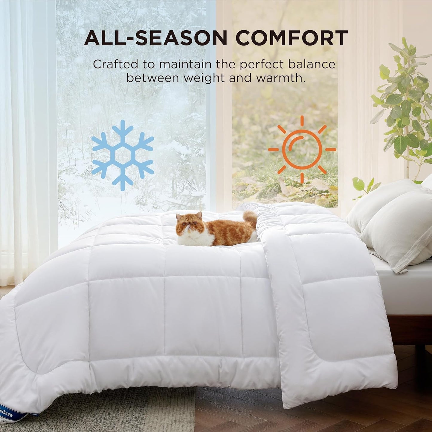 Bedsure Comforter Duvet Insert - Quilted Comforters Queen Size, All Season Duvet, GentleSoft Down Alternative Bedding Blanket, with 8